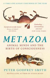 Cover image for Metazoa: Animal Minds and the Birth of Consciousness