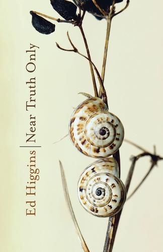 Cover image for Near Truth Only