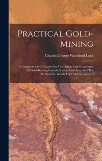 Cover image for Practical Gold-mining