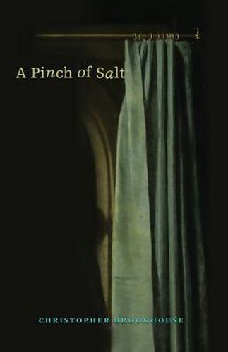 Cover image for A Pinch of Salt
