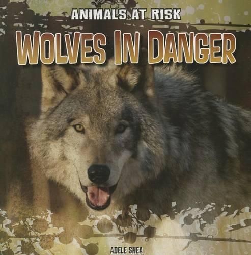 Cover image for Wolves in Danger