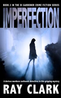 Cover image for Imperfection