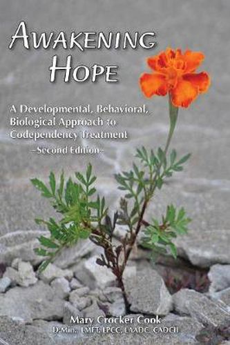 Awakening Hope. a Developmental, Behavioral, Biological Approach to Codependency Treatment.