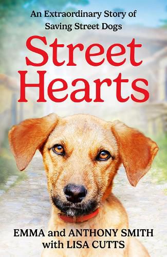 Cover image for Street Hearts