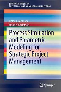 Cover image for Process Simulation and Parametric Modeling for Strategic Project Management