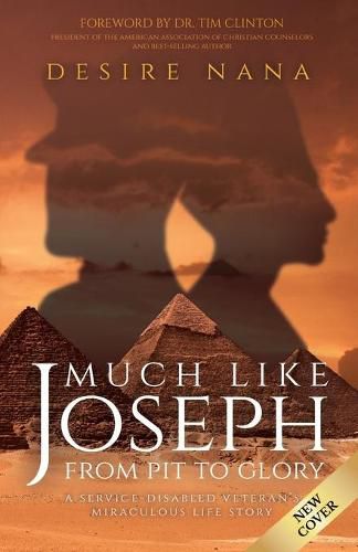 Cover image for Much Like Joseph: From Pit to Glory