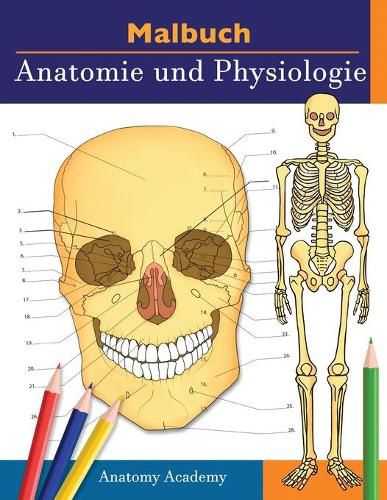 Cover image for Malbuch Anatomie und Physiologie: Unglaublich detailliertes Arbeitsbuch zum Selbsttest Farbe fur das Studium Perfektes Geschenk fur Medizinstudenten, AErzte, Krankenschwestern und Erwachsene