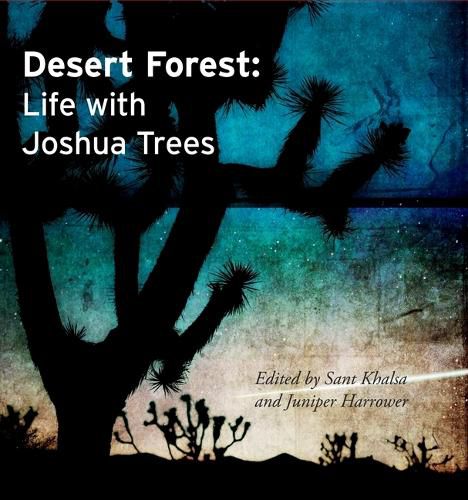 Cover image for Desert Forest: Life with Joshua Trees