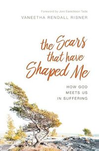 Cover image for The Scars That Have Shaped Me: How God Meets Us in Suffering