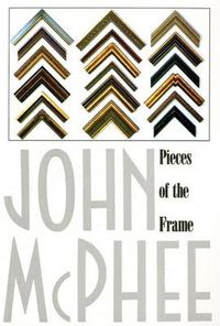Cover image for Pieces of the Frame