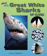 Cover image for Great White Sharks Up Close