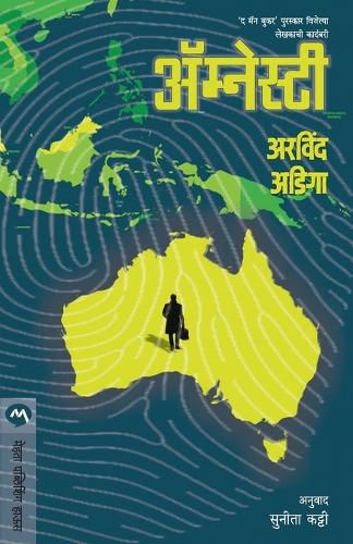 Cover image for Amnesty