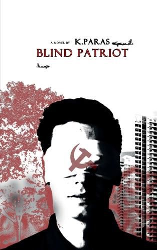 Cover image for Blind Patriot