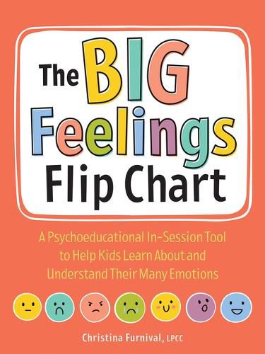 Cover image for The Big Feelings Flip Chart