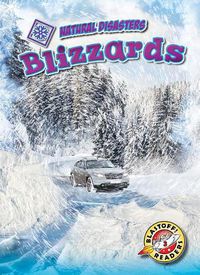 Cover image for Blizzards