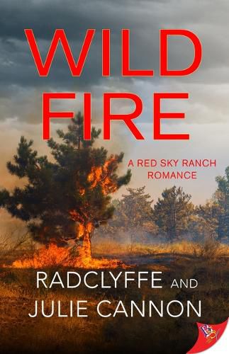 Cover image for Wild Fire