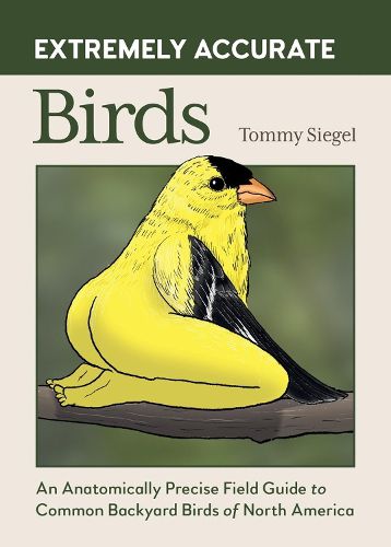 Cover image for Extremely Accurate Birds