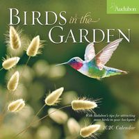 Cover image for Audubon Birds In The Garden Wall Calendar 2020