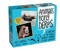 Cover image for Animals Being Derps 2025 Day-to-Day Calendar