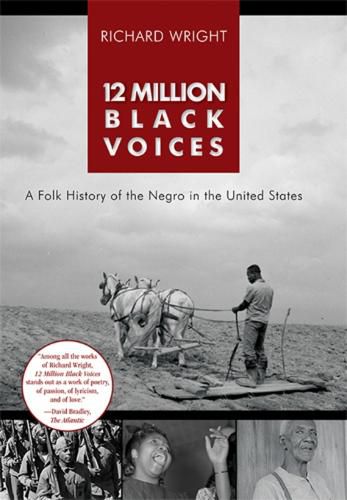 12 Million Black Voices