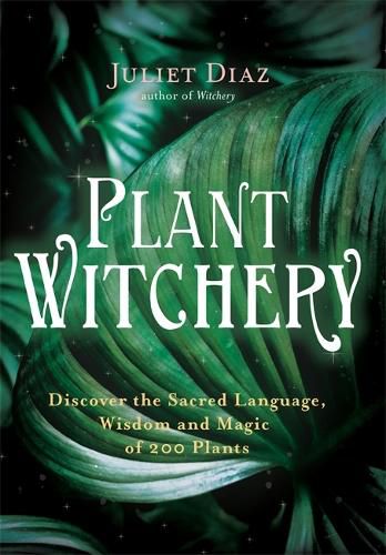 Cover image for Plant Witchery: Discover the Sacred Language, Wisdom, and Magic of 200 Plants