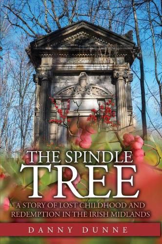 Cover image for The Spindle Tree: A Story of Lost Childhood and Redemption in the Irish Midlands