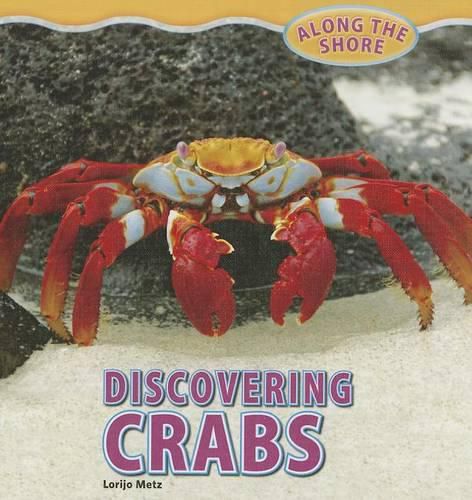 Cover image for Discovering Crabs