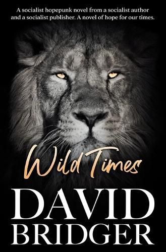 Cover image for Wild Times