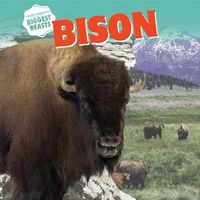 Cover image for Bison