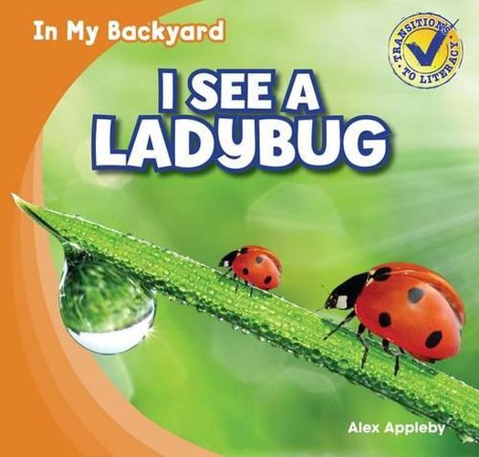 Cover image for I See a Ladybug