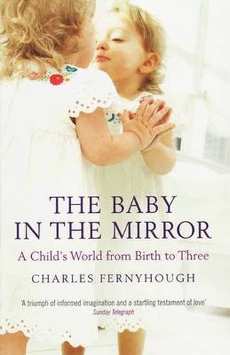 Cover image for The Baby In The Mirror: A Child's World From Birth To Three