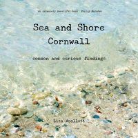 Cover image for Sea and Shore Cornwall: Common and Curious Findings