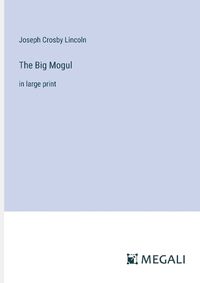 Cover image for The Big Mogul