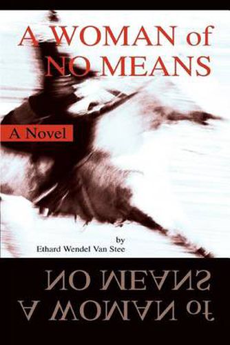 Cover image for A Woman of No Means: A Novel