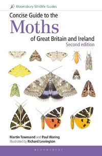 Cover image for Concise Guide to the Moths of Great Britain and Ireland: Second edition