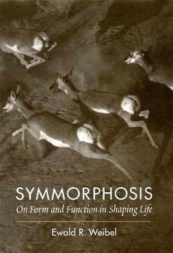 Cover image for Symmorphosis: On Form and Function in Shaping Life