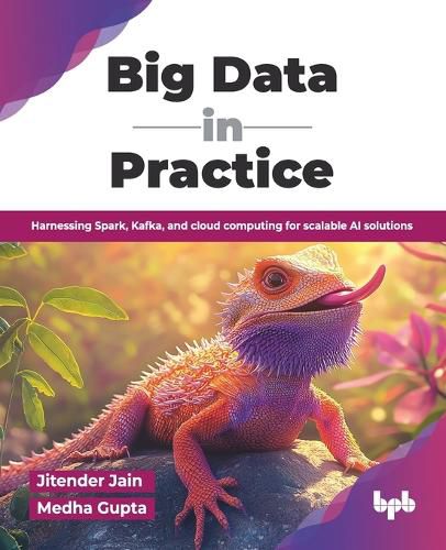Cover image for Big Data in Practice