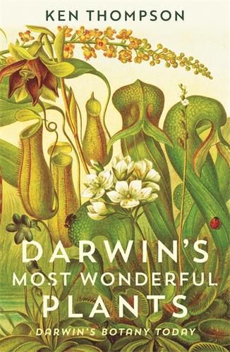 Cover image for Darwin's Most Wonderful Plants: Darwin's Botany Today