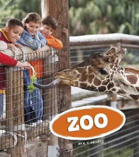 Cover image for Zoo