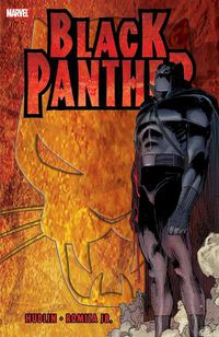 Cover image for Black Panther: Who Is The Black Panther
