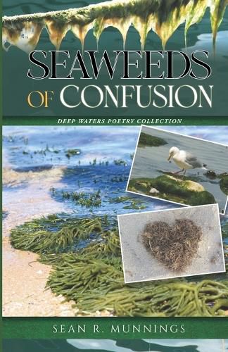 Cover image for Seaweeds of Confusion