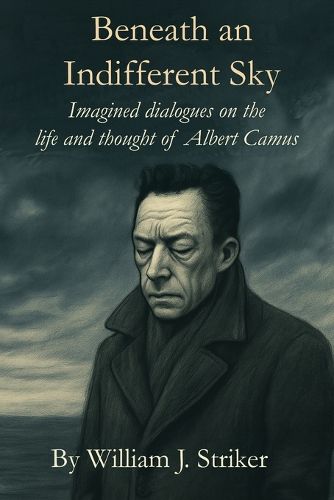Cover image for Beneath an Indifferent Sky