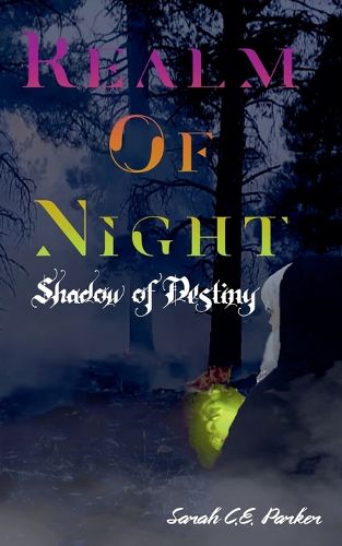 Cover image for Shadow of Destiny