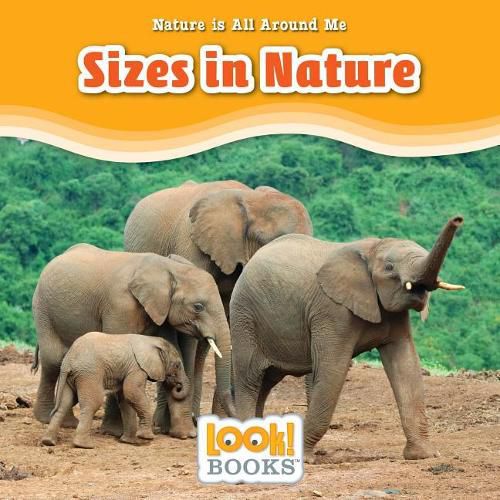 Sizes in Nature