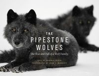 Cover image for The Pipestone Wolves
