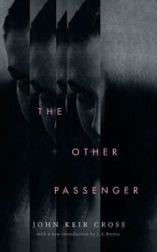 Cover image for The Other Passenger