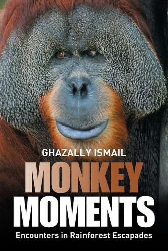 Cover image for Monkey Moments: Encounters in Rainforest Escapades