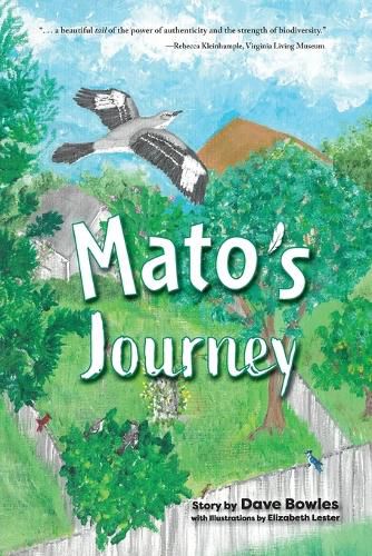 Cover image for Mato's Journey