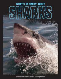 Cover image for What's So Scary about Sharks?