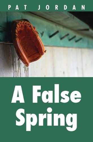 Cover image for A False Spring